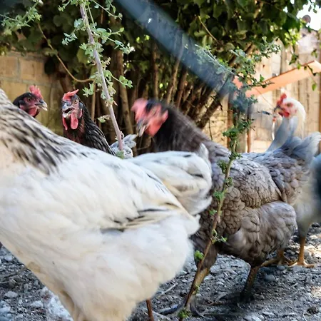 Frühstückspension Tenuta Fonte Mosco' Ponzano di Fermo
