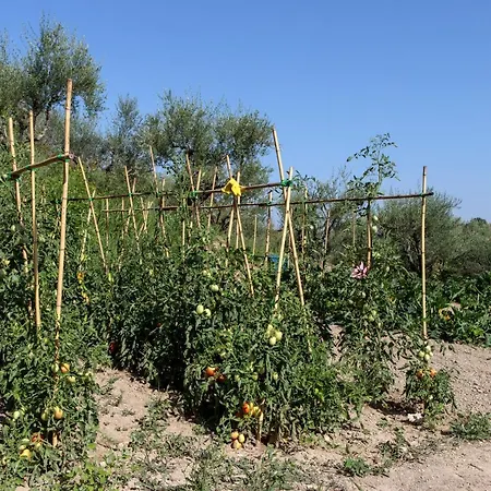 Tenuta Fonte Mosco' Frühstückspension