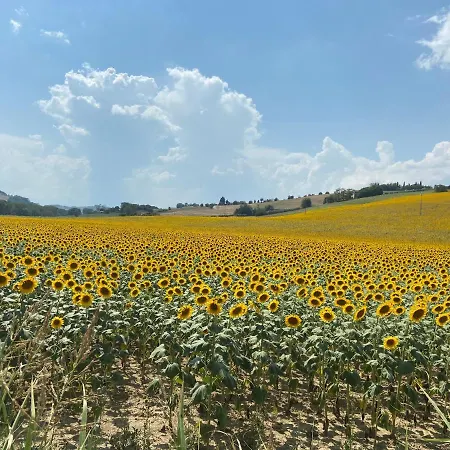 Frühstückspension Tenuta Fonte Mosco' Ponzano di Fermo